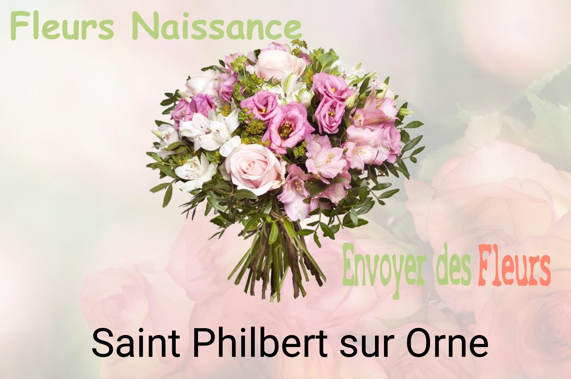 Bouquet de fleurs de naissance livré à Saint-Philbert-sur-Orne